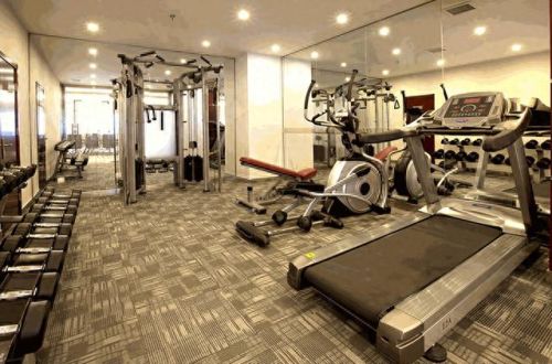 进口健身设备十大排行榜(健身器材国际排行榜)插图6 进口健身设备十大排行榜(健身器材国际排行榜)插图6