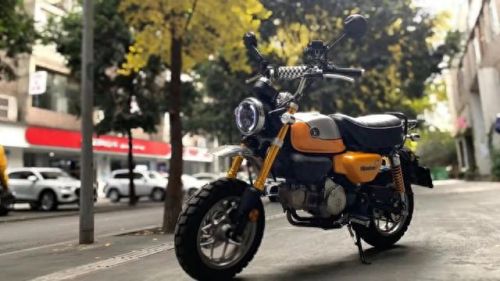 十大国产复古车品牌排行榜(国产复古太子前十名)插图9