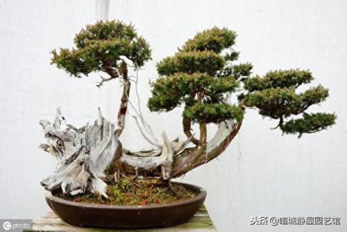 益胶泥十大牌子排行榜图片(胶泥十大品牌多少一包)插图