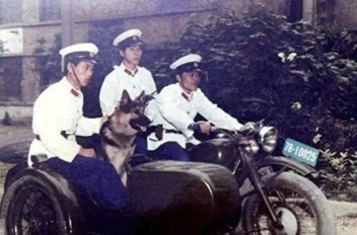 中国十大悍匪排行榜之枪魔(中国十大悍匪真实排名)插图2 中国十大悍匪排行榜之枪魔(中国十大悍匪真实排名)插图2