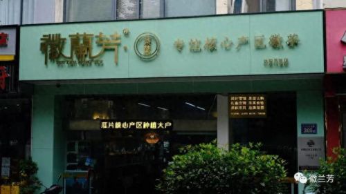 六安瓜片十大品牌排行榜(中国十大茶叶品牌公司)插图8