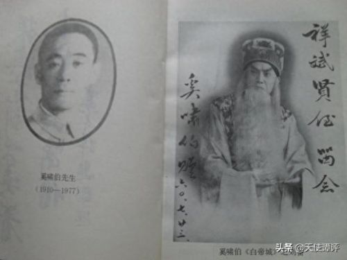 言派十大名票排行榜(十大名票)