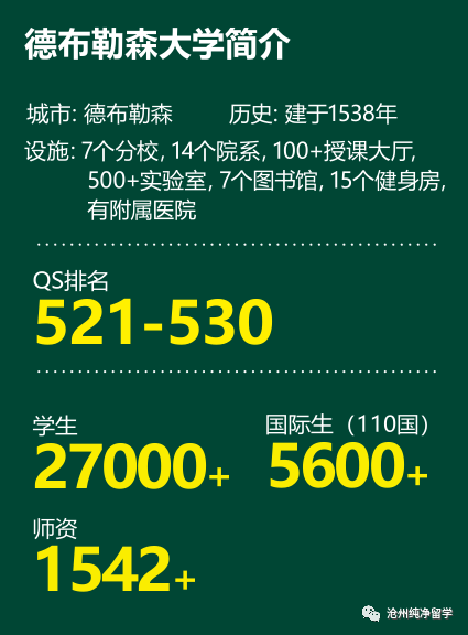 匈牙利医院数量排名前十(欧洲排名前十医院)插图2