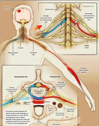 贵州脑外科排名前十(贵州脑外科最好的医院)插图1 贵州脑外科排名前十(贵州脑外科最好的医院)插图1