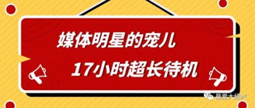 绍兴小众酒馆排名前十(天津比较小众的酒馆)插图