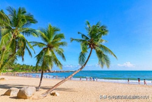 滨海最美地方排名前十(滨海最好小区排名)插图18 滨海最美地方排名前十(滨海最好小区排名)插图18