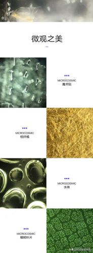 手机显微镜十大品牌排行榜(高端显微镜十大品牌)插图26