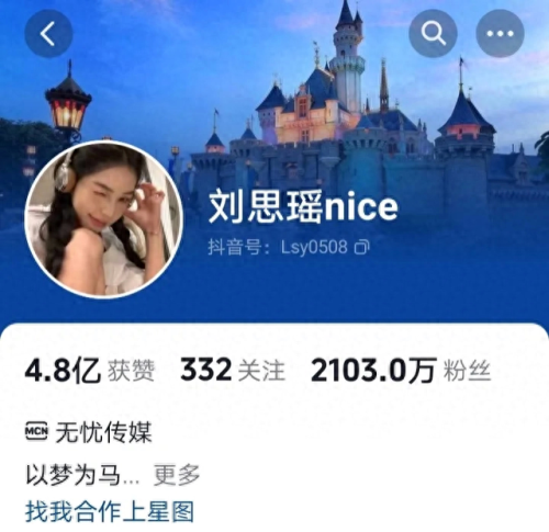 女主播月收入排名前十(唱歌主播一般收入多少)插图10