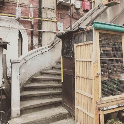 横滨私立女校排名前十(墨尔本私立女校分布图)插图14