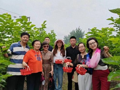 国内桑葚果酒十大排行榜(孕妇能吃桑葚果酒吗)