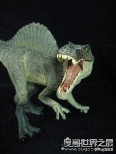 恐龙十大排行榜谁最大(恐龙排名到底谁最强)插图5