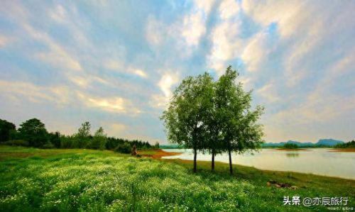 襄阳小区景观排名前十(襄阳最好的小区排名)插图17 襄阳小区景观排名前十(襄阳最好的小区排名)插图17