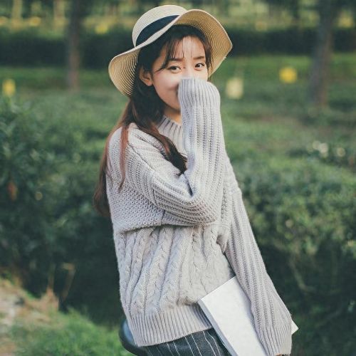 2017年十大美女排行榜(盘点十大美女排名)插图13