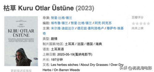 土耳其影视平台排名前十(土耳其电视剧大全)插图6 土耳其影视平台排名前十(土耳其电视剧大全)插图6