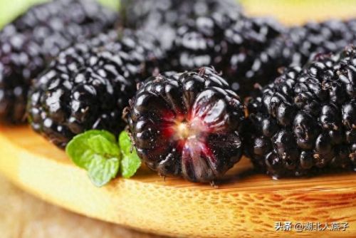 女士十大滋补品排行榜大全(女性经典滋补品)