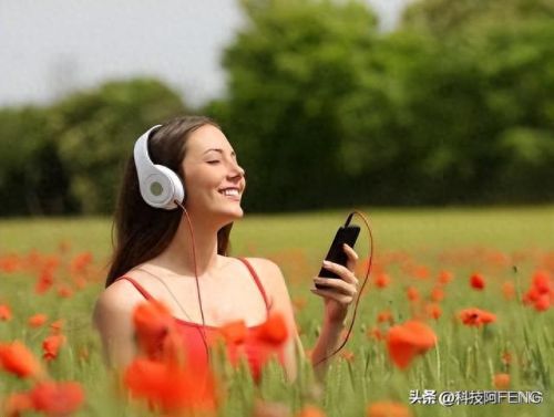 十大hifi播放器品牌排行榜(播放器十大品牌排行榜)插图