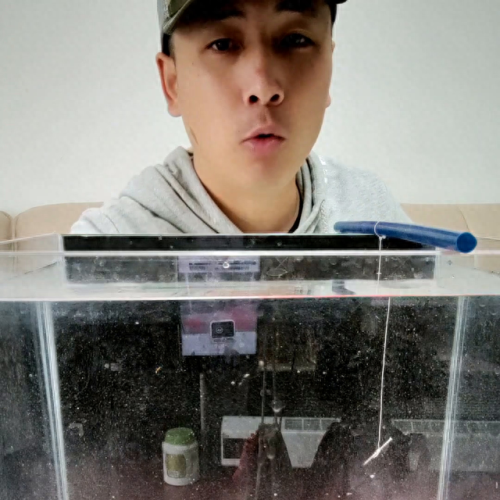 方块窝料十大排行榜(鱼饵最佳配方表)