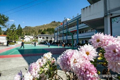 郑东新区小学排名前十(中山小学排名)插图3 郑东新区小学排名前十(中山小学排名)插图3