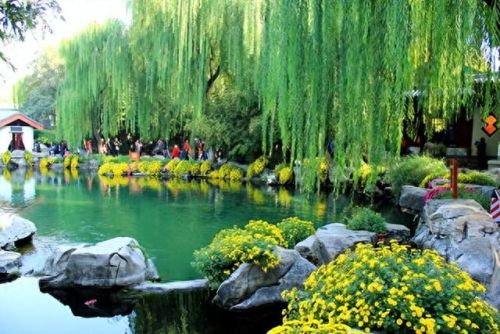 日照市十大企业富豪排行榜(日照十大富豪排名)插图7