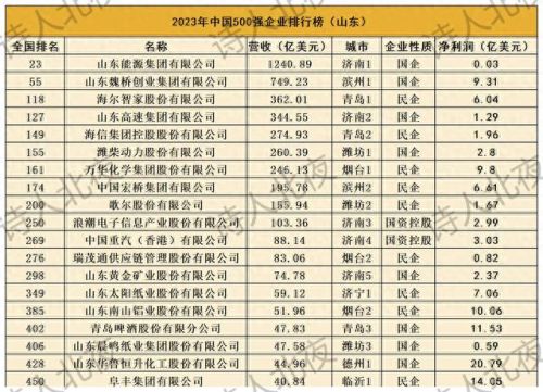 山东十大企业排行榜最新名单(山东芯片企业排名)插图6