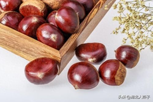 女士十大滋补品排行榜大全(女性经典滋补品)插图12