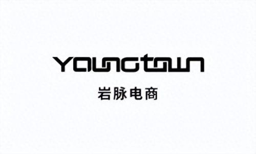 网店 分销平台排名前十(免费网店分销渠道)