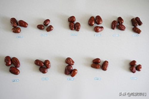 和田大枣品种排名前十(和田特级大枣)插图15 和田大枣品种排名前十(和田特级大枣)插图15