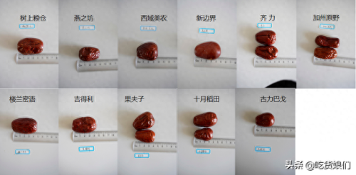 和田大枣品种排名前十(和田特级大枣)插图17 和田大枣品种排名前十(和田特级大枣)插图17
