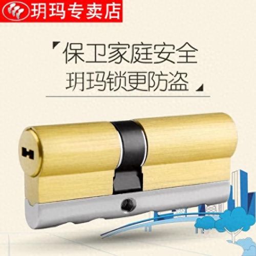 防盗门锁芯排行榜十大品牌(国内防盗门锁芯品牌排行榜)插图8