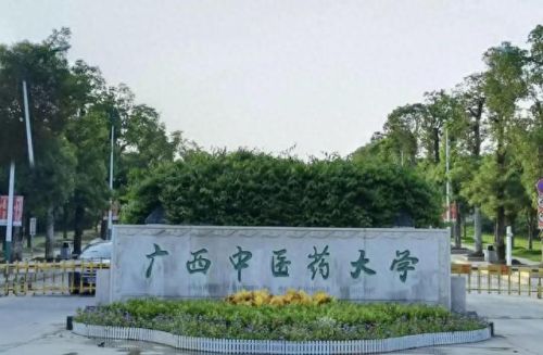 广西学院排名前十(桂林医学院更名失败了吗)插图9 广西学院排名前十(桂林医学院更名失败了吗)插图9
