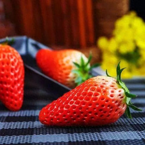 合肥十大水果品牌排行榜(合肥最好水果排名)插图9