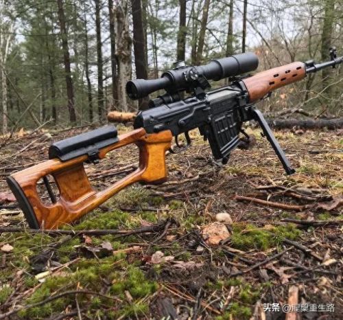 十大狙击枪射程排行榜图片(现代各种狙击枪介绍及图片)插图3