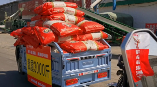 十大杂牌电动三轮排行榜(口碑最好十大电动车)插图4