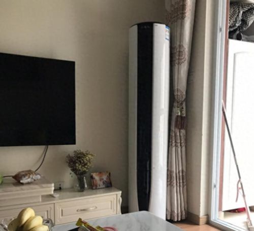 圆柱体空调排行榜十大品牌(圆柱空调哪个品牌质量好点)插图4