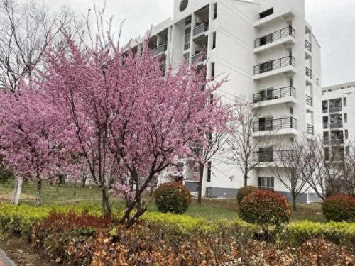 亳州地理老师排名前十(亳州一中安徽排名)插图10 亳州地理老师排名前十(亳州一中安徽排名)插图10