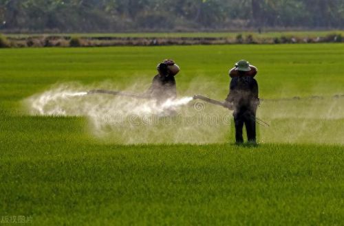 十大网红农药企业排行榜(中国十大假农药)插图1 十大网红农药企业排行榜(中国十大假农药)插图1