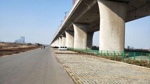 西安遛狗公司排名前十(西安遛狗事件最新消息)插图3 西安遛狗公司排名前十(西安遛狗事件最新消息)插图3