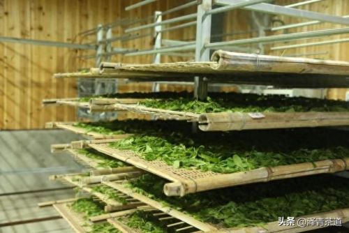 茶经排名前十的茶(十三种满分好茶)插图54 茶经排名前十的茶(十三种满分好茶)插图54