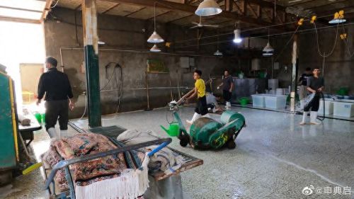 伊朗蚕丝产量排名前十(蚕丝最贵的品种)插图21