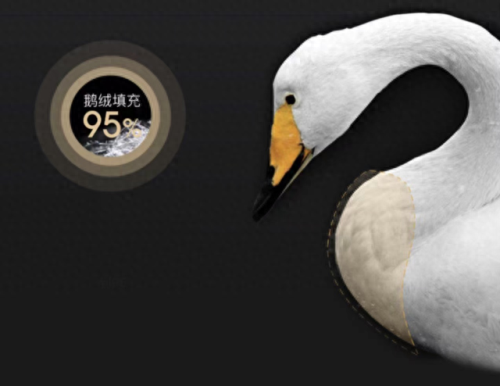 羽绒被子十大名牌排行榜(羽绒被推荐 品牌)插图5