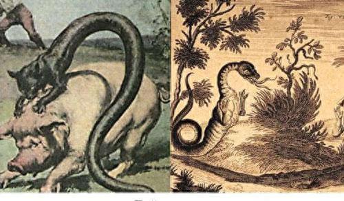 传说中的十大怪兽排行榜(怪兽电影十大巅峰之作)插图5 传说中的十大怪兽排行榜(怪兽电影十大巅峰之作)插图5