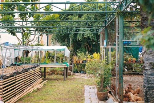 曼谷安全酒店排名前十(泡泡玛特曼谷开业)插图30 曼谷安全酒店排名前十(泡泡玛特曼谷开业)插图30