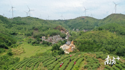 南宁滤水器厂家排名前十(滤茶水器)插图6