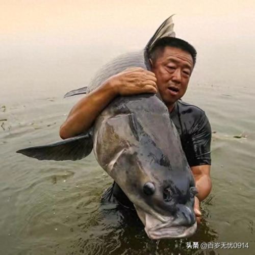 十大野钓博主排行榜(抖音十大旅游博主)插图2