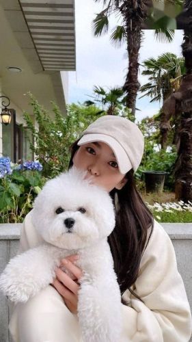 娱乐圈十大宠物排行榜最新(北京圈内人养宠物的明星)插图4