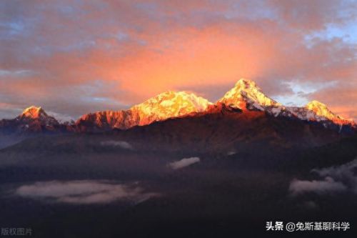 珠峰高度排名前十(哪种鸟飞行高度可以逾越珠峰)