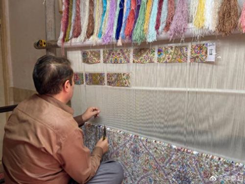 伊朗蚕丝产量排名前十(蚕丝最贵的品种)插图11