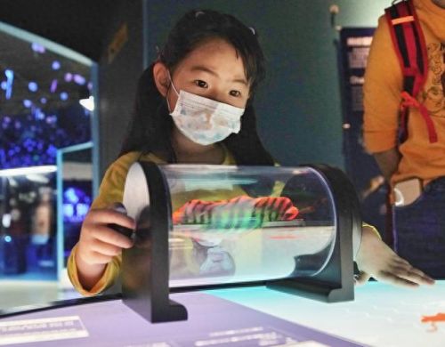 广州亲子乐园十大排行榜(广州融创乐园门票价目表)插图3