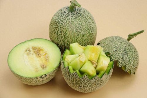 排名前十的优良枇杷(哪种枇杷品种好吃)插图5 排名前十的优良枇杷(哪种枇杷品种好吃)插图5