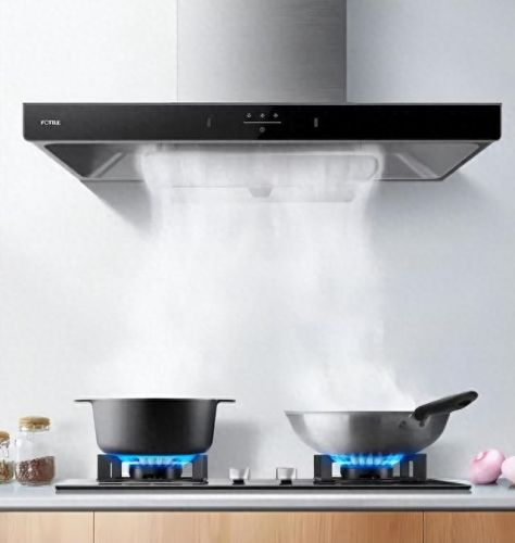 吸油烟机排行榜品牌十大(新飞油烟机是杂牌还是品牌)